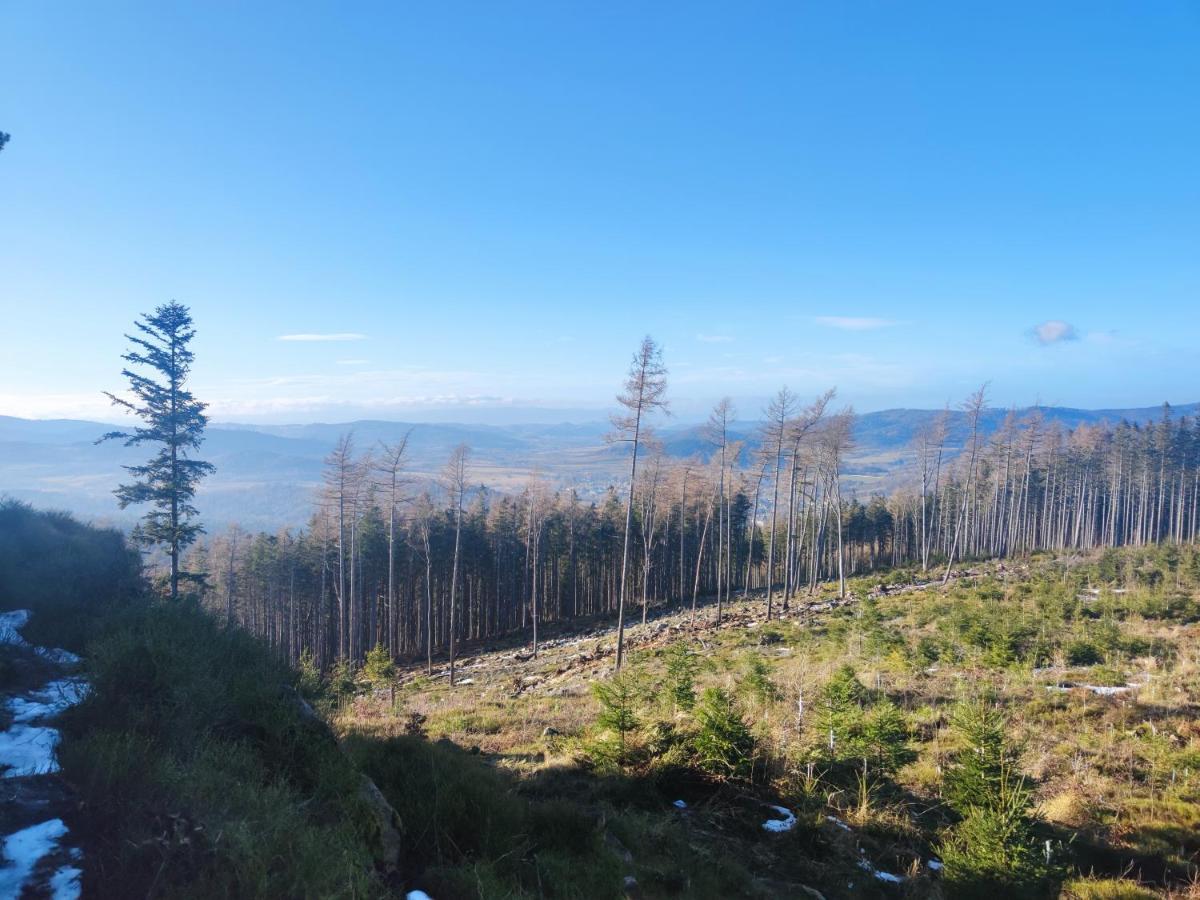 Willa Janina Lądek-Zdrój Exteriör bild